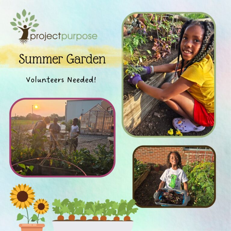 Summer Volunteer Opportunity: Our Summer Garden Nights give students the opportunity to grow their own produce, create fun garden-themed crafts and learn about God through a Bible lesson. This meaningful program is made possible by our amazing Garden Volunteers! Whether you love gardening, working with kids or simply lending a helping hand, we would love to have you join us. Families with young children are welcome to volunteer together! To learn more or sign up to volunteer, please contact Marcie at marcie@project-purpose.org
